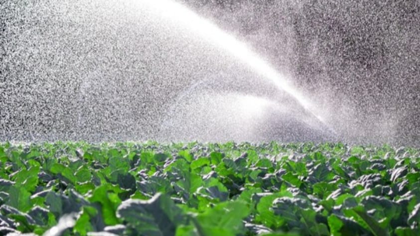Lift irrigation scheme worth Rs 164 lakh approved for Seredgon HIMACHAL HEADLINES
