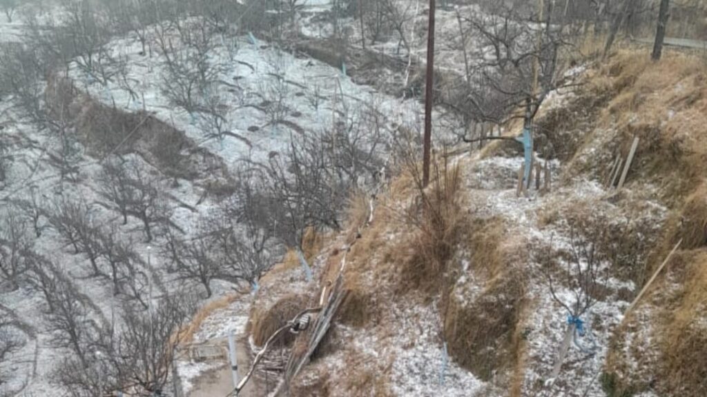 Higher reaches of Himachal experience light spells of snow Higher reaches of Himachal experience light spells of snow HIMACHAL HEADLINES