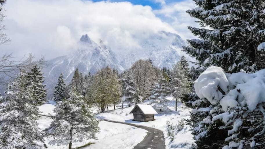 Dry spell to be broken - Himachal to receive rain and snow from 31 January onwards HIMACHAL HEADLINES