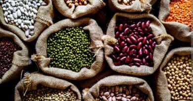World Pulses Day to be celebrated in Himachal on 10 February HIMACHAL HEADLINES