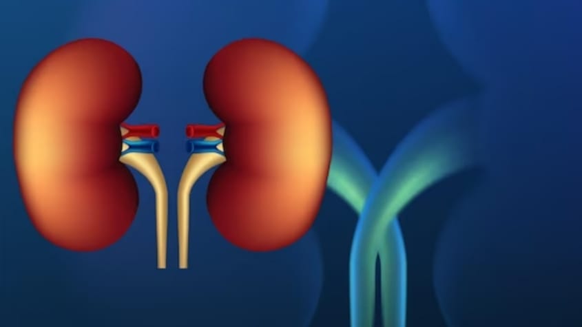 An Easy-to-Use Tool for Enhanced Lives After Kidney Transplantation An Easy-to-Use Tool for Enhanced Lives After Kidney Transplantation HIMACHAL HEADLINES