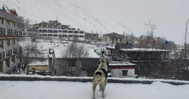 Higher reaches of Himachal experiencing fresh snowfall HIMACHAL HEADLINES