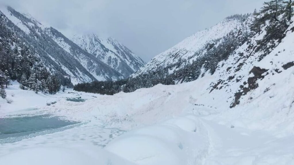 Snow and Rain disrupts life in Himachal, Rohtang Kalpa and Chitkul receive around 5 feet of snowfall Snow and Rain disrupts life in Himachal, Rohtang Kalpa and Chitkul receive around 5 feet of snowfall HIMACHAL HEADLINES