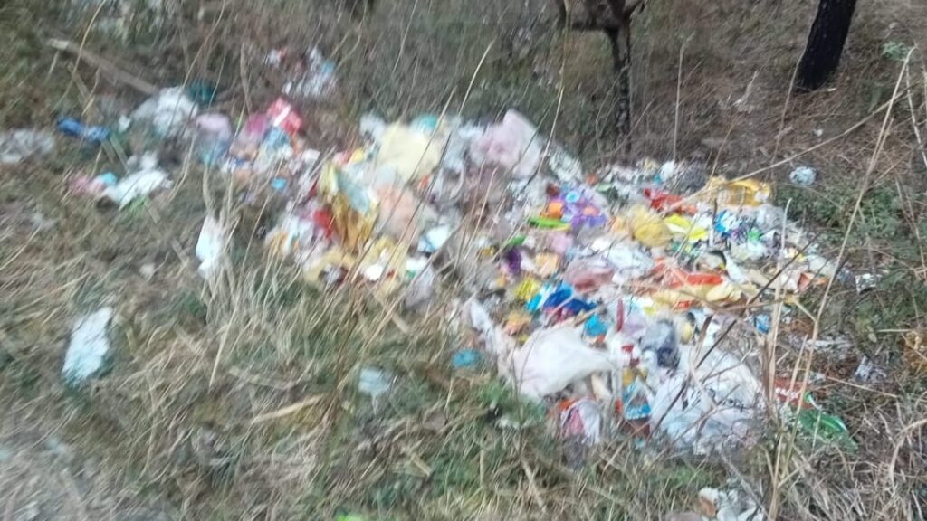 Residents of Bara Gawan Ward 4 struggle with littering Residents of Bara Gawan Ward 4 struggle with littering HIMACHAL HEADLINES