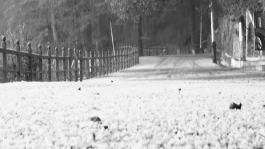 Fresh western disturbance to bring rain and hailstorm in Himachal HIMACHAL HEADLINES
