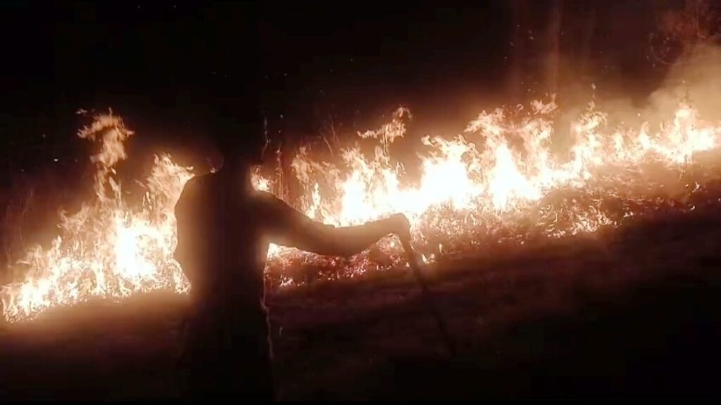 A massive fire broke out in the Khadki Dhar and Jhandi forests of Junga A massive fire broke out in the Khadki Dhar and Jhandi forests of Junga HIMACHAL HEADLINES