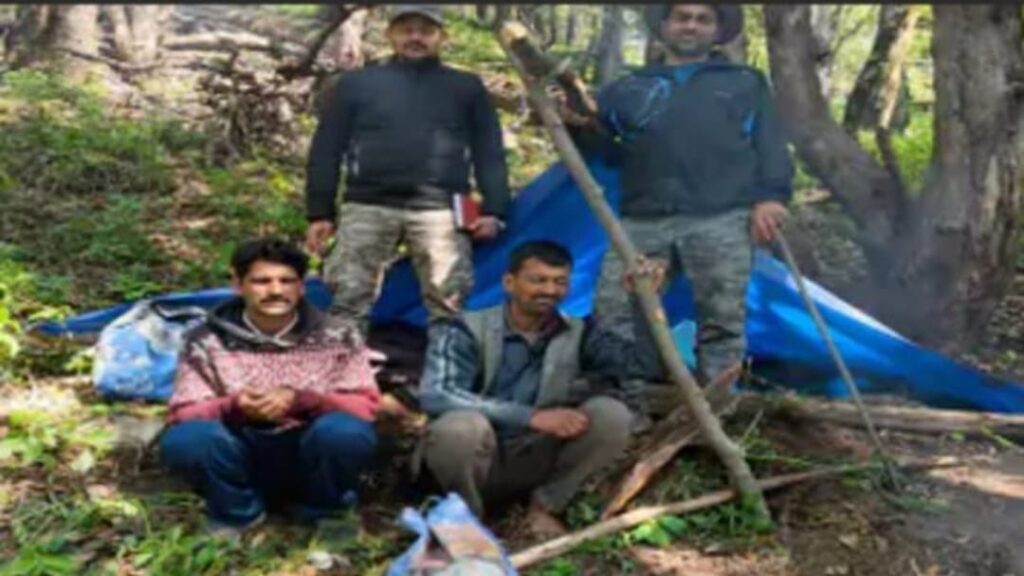 Individuals caught unlawfully killing two endangered Monal birds HIMACHAL HEADLINES