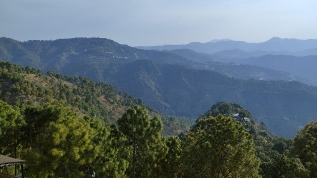 IMD reports significant heatwave across Himachal HIMACHAL HEADLINES