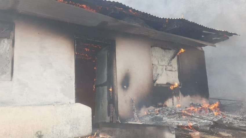 Nearly five hundred apple plants got burnt due to a fire in Bhadech Nearly five hundred apple plants got burnt due to a fire in Bhadech HIMACHAL HEADLINES