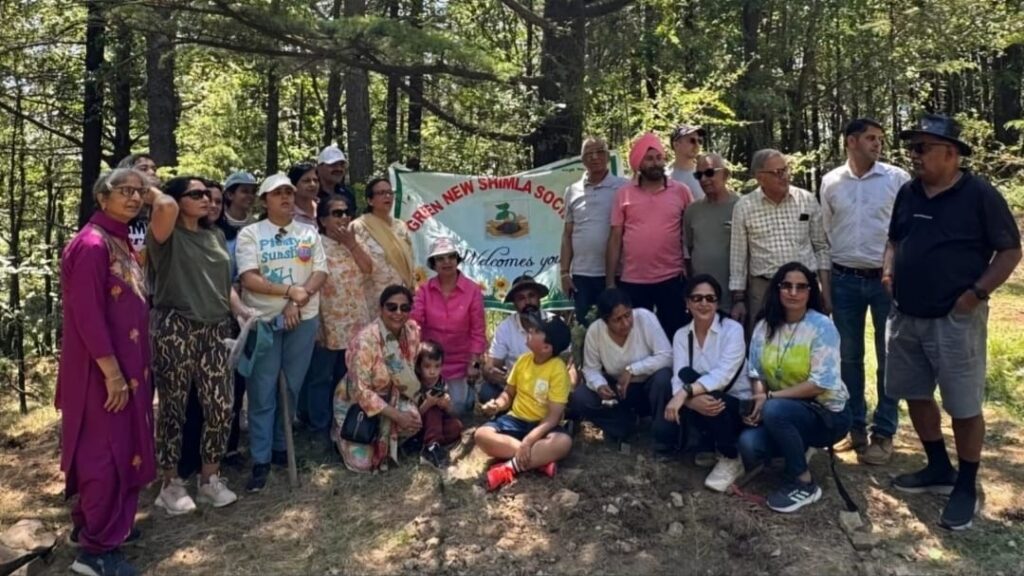 40 trees planted by Green News Shimla Committee and Shimla Water Catchment Wildlife Dhalli HIMACHAL HEADLINES