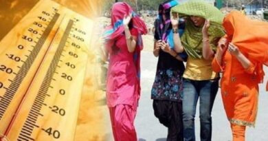 Heatwave Hits Himachal: Record-Breaking Temperatures and Forest Fire Concerns HIMACHAL HEADLINES