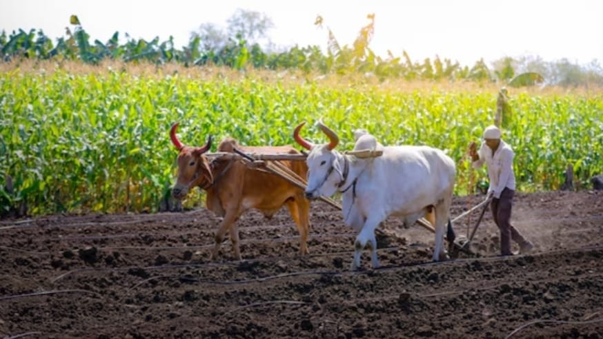 Deception again on support price and agricultural crisis Deception again on support price and agricultural crisis HIMACHAL HEADLINES