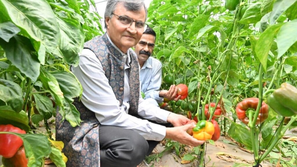 Work towards scientific validation of Natural farming data: Prof. Ramesh Chand Work towards scientific validation of Natural farming data: Prof. Ramesh Chand HIMACHAL HEADLINES