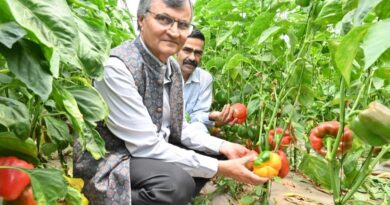 Work towards scientific validation of Natural farming data: Prof. Ramesh Chand HIMACHAL HEADLINES