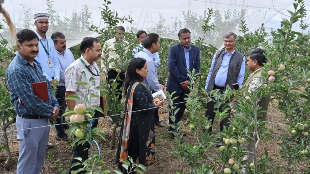 Reduction in cost of production need to be addressed: Prof Chand HIMACHAL HEADLINES