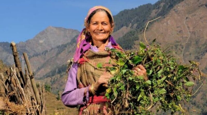 Agro-Met Advisory for Himachal Pradesh Farmers HIMACHAL HEADLINES