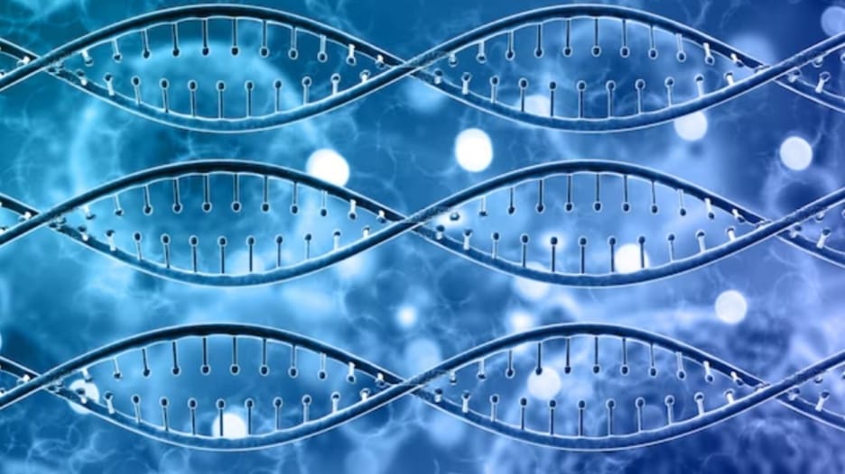 Bahra University to start courses in Stem Cell, Embryology & Artificial Intelligence HIMACHAL HEADLINES