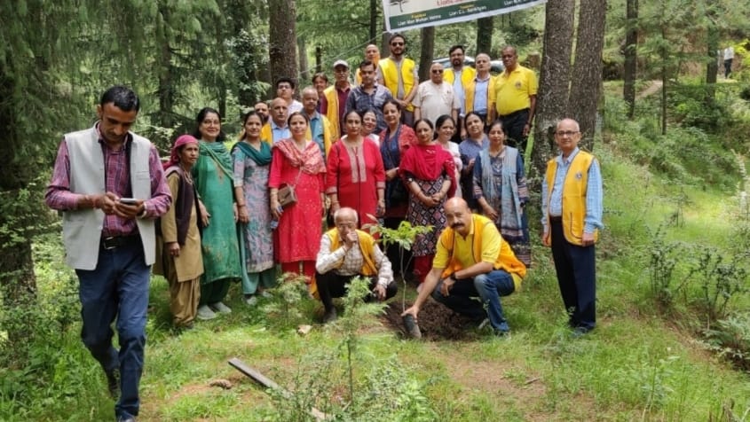 Lions Club Shimla Leads Tree Plantation Drive to Promote Environmental Awareness HIMACHAL HEADLINES