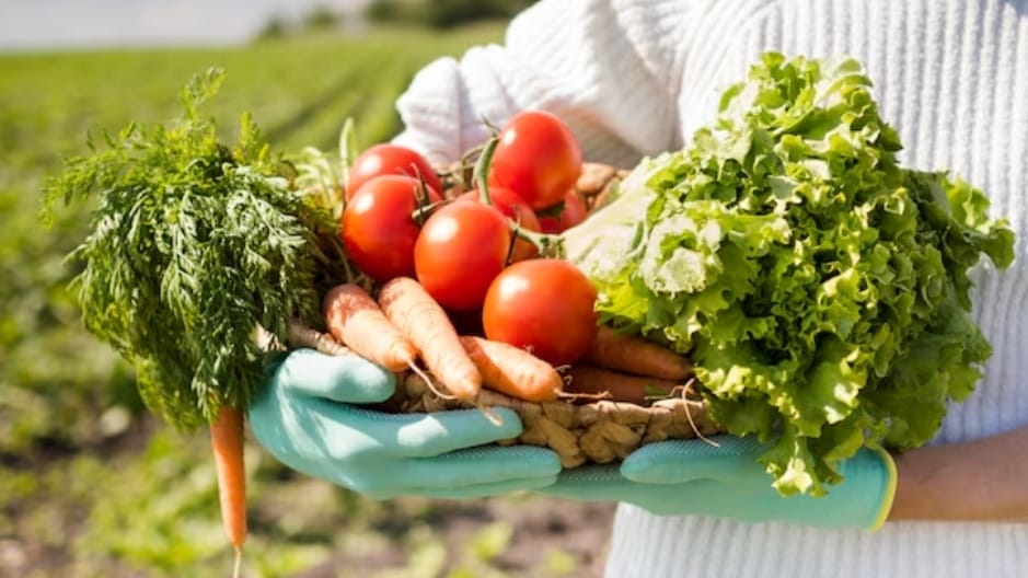 Sustainable Food Systems Platform for Natural Farming (SuSPNF) Sustainable Food Systems Platform for Natural Farming (SuSPNF) HIMACHAL HEADLINES