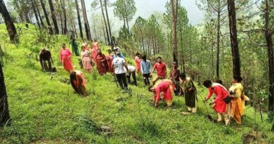 Two hundred plants of different species were planted in Khadkidhar HIMACHAL HEADLINES