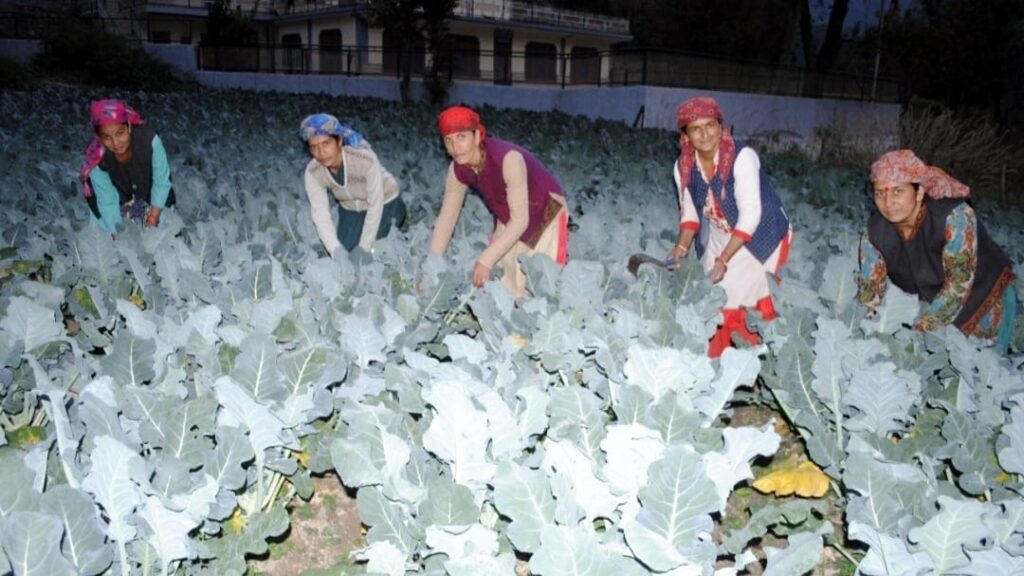 Himachal farmers to raise income through Natural farming practises Himachal farmers to raise income through Natural farming practises HIMACHAL HEADLINES