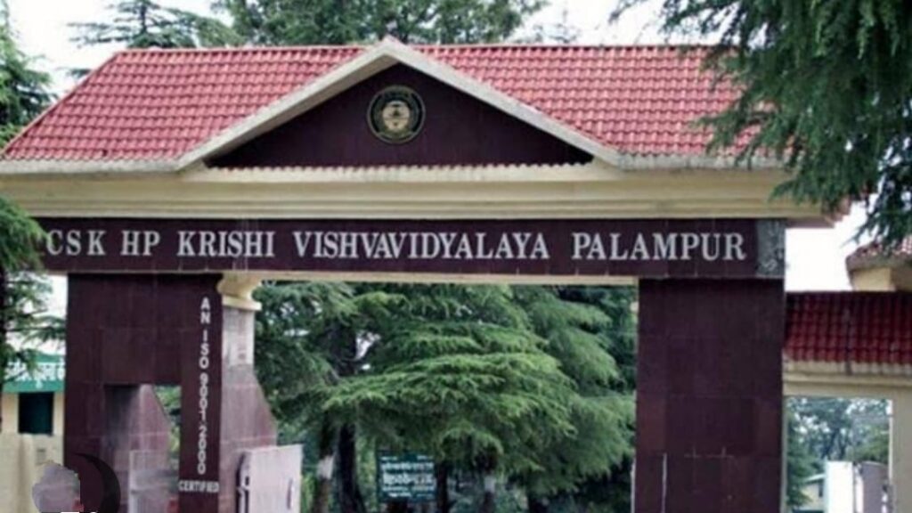 Protest erupts against proposed 'Tourism Village' on Himachal Pradesh Agricultural University land HIMACHAL HEADLINES