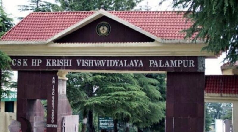 Govt's decision to use waste land of Agricultural University for tourism is absolutely correct : Sanjay Chauhan Govt's decision to use waste land of Agricultural University for tourism is absolutely correct : Sanjay Chauhan HIMACHAL HEADLINES
