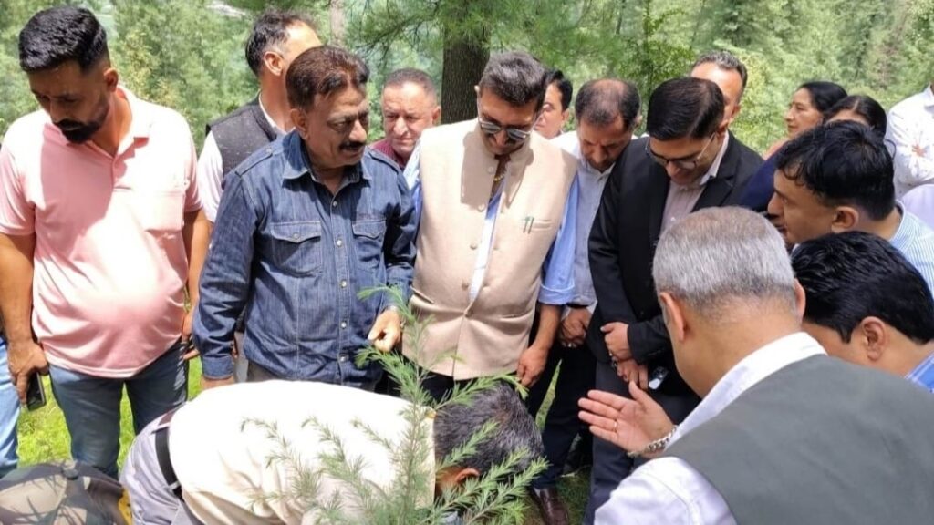 Every family should pledge to plant 5 saplings and protect them: Rathore Every family should pledge to plant 5 saplings and protect them: Rathore HIMACHAL HEADLINES