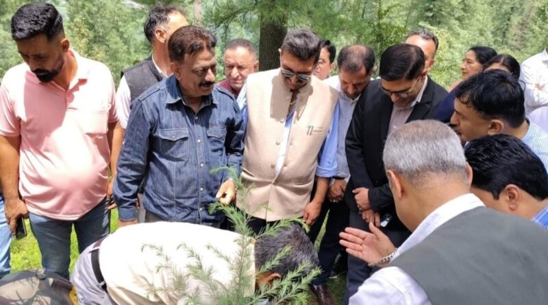 Every family should pledge to plant 5 saplings and protect them: Rathore HIMACHAL HEADLINES