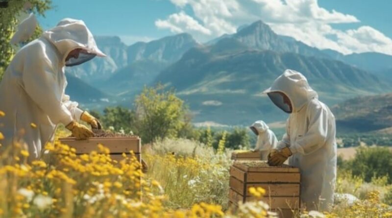 Beekeepers receive Insights to Boost Income from Bee Products HIMACHAL HEADLINES