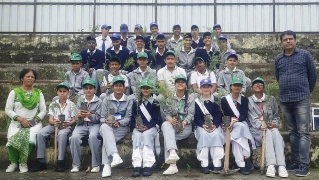 Children planted medicinal plants in Junga school Children planted medicinal plants in Junga school HIMACHAL HEADLINES