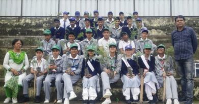 Children planted medicinal plants in Junga school Children planted medicinal plants in Junga school HIMACHAL HEADLINES