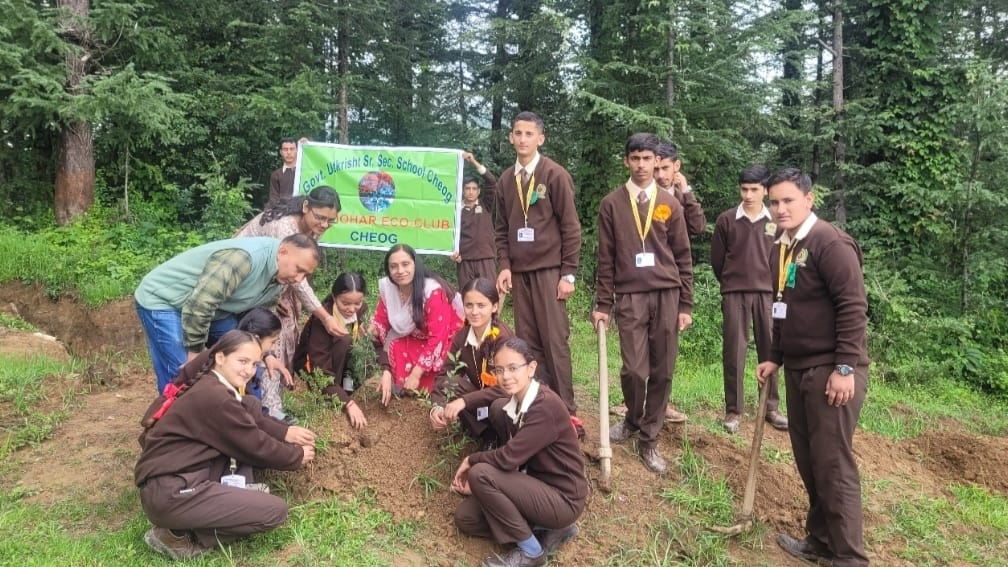 Children planted medicinal plants in Chiyog school Children planted medicinal plants in Chiyog school HIMACHAL HEADLINES