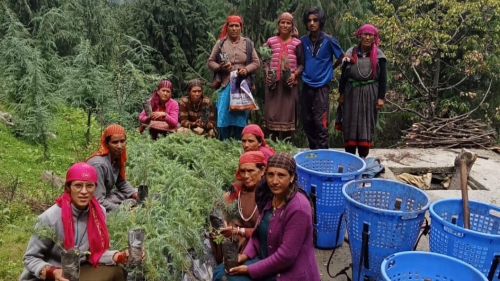 Himachal to re-verify beneficiaries under Indira Gandhi Pyari Behna Samman Nidhi Yojana HIMACHAL HEADLINES