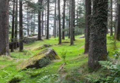 Himachal Plans Major Land Record Reform, Settlement Cycle May Shrink from 40 Years to Just 5