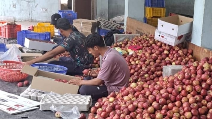 Government should help orchardists in getting fair price for apples: Chetan Bragta HIMACHAL HEADLINES