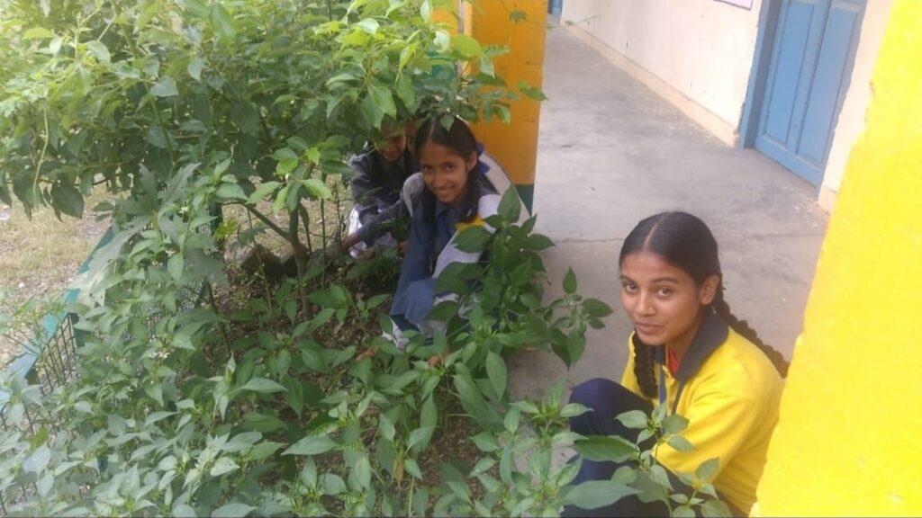 Volunteers of Dadgi School gave the message of cleanliness by cleaning the roads HIMACHAL HEADLINES