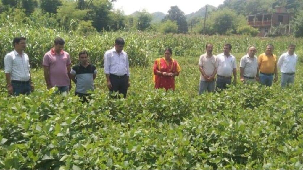 Three-day training program on "Subhash Palekar Natural Farming" organized at Farmers Training Center HIMACHAL HEADLINES