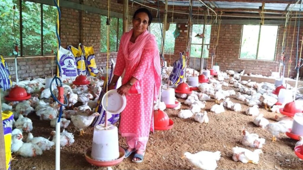 Hema Kumari of village Dugrai chose the path of self-employment HIMACHAL HEADLINES