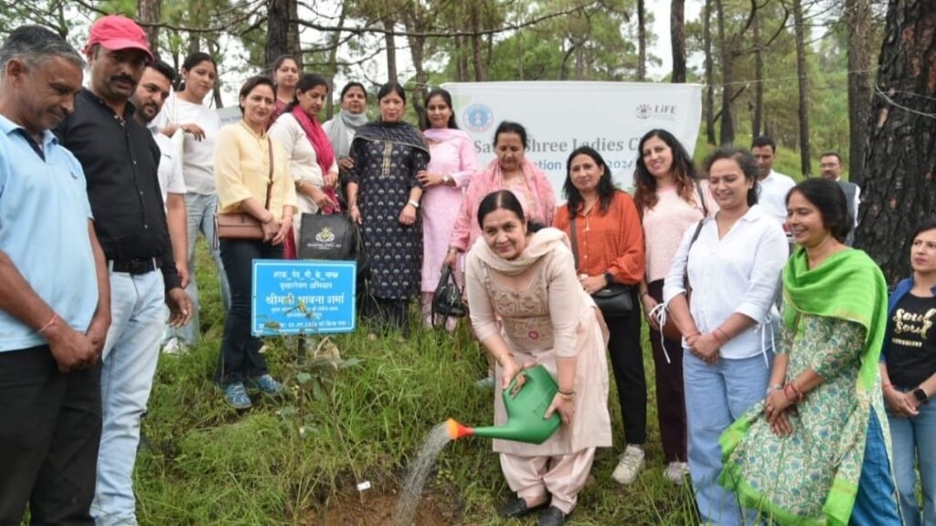 SJVN Initiates Major Plantation Drive Under National #Plant4 Mother Campaign HIMACHAL HEADLINES