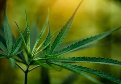 More Than Just Bhang: The Real Flavor of a Mountain Shivratri