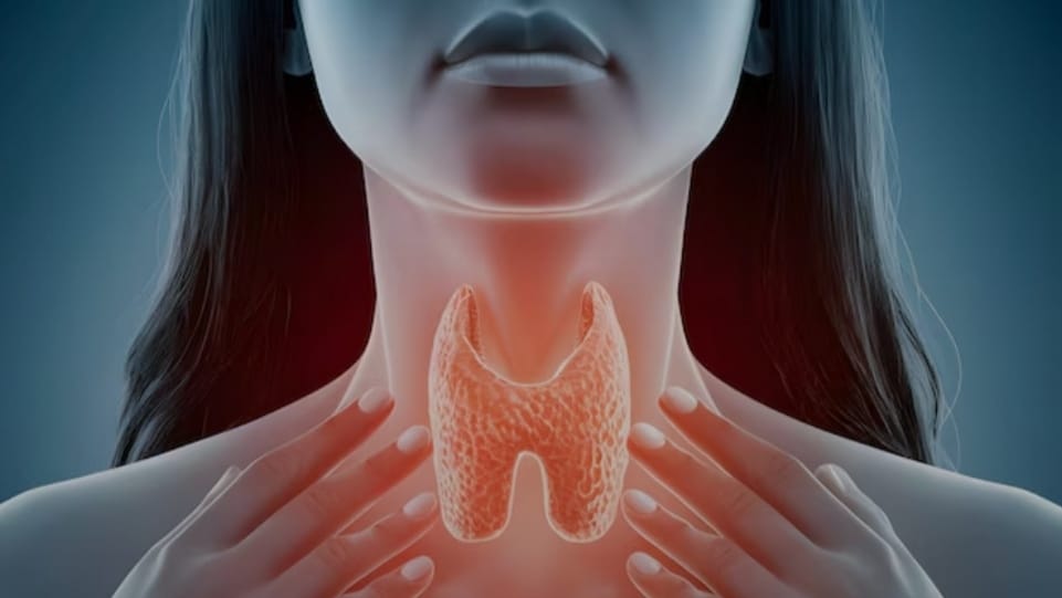 Can thyroid cause hindrance in pregnancy HIMACHAL HEADLINES