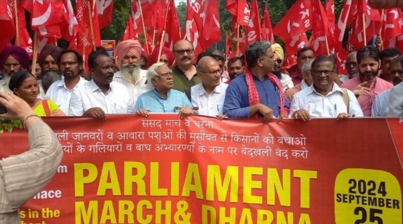 Farmers demand urgent action to address Wild Animal and Stray Cattle Menace: AIKS and AIAWU Lead March to Parliament HIMACHAL HEADLINES