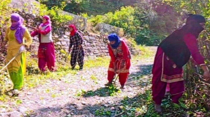 Women of Self Help Group Trahai started cleanliness drive Women of Self Help Group Trahai started cleanliness drive HIMACHAL HEADLINES