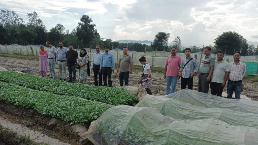 Agriculture officers trained on general and foreign vegetables farming HIMACHAL HEADLINES