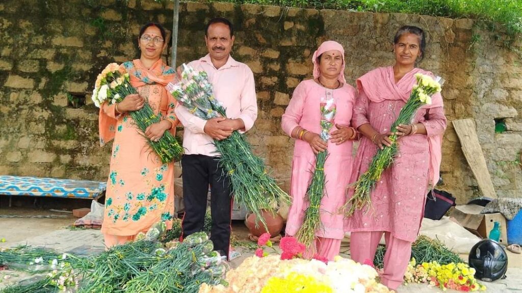 Ravindra of Kaltha village chose the path of self-employment by cultivating flowers Ravindra of Kaltha village chose the path of self-employment by cultivating flowers HIMACHAL HEADLINES