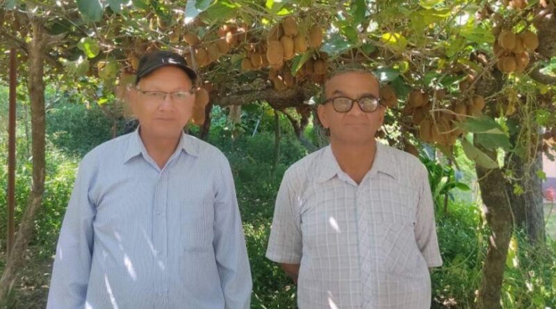 Boosting the Economy through Kiwi Cultivation HIMACHAL HEADLINES