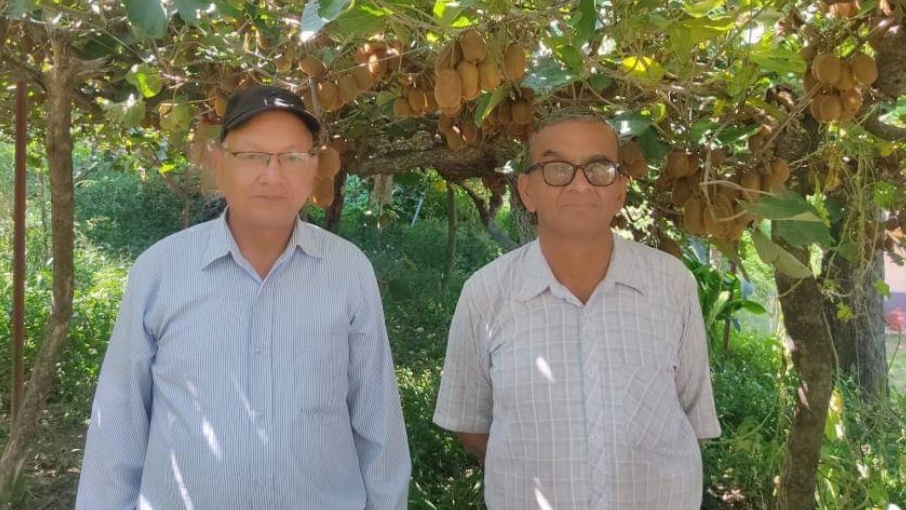 Boosting the Economy through Kiwi Cultivation Boosting the Economy through Kiwi Cultivation HIMACHAL HEADLINES