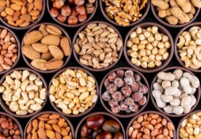 High Value Nut Mission to open new avenues of prosperity for Himachal horticulturists