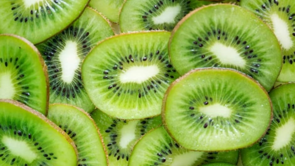 Nauni university discovers new cold-resistant species of Kiwi for higher altitudes HIMACHAL HEADLINES